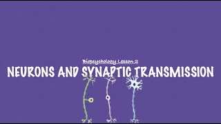 ALevel Psychology AQA Neurons and Synaptic Transmission UPDATE [upl. by Levesque282]