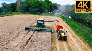 4K NEWEST 2024 John Deere Harvesting Wheat JCB Massey Ferguson Tractor [upl. by Bakeman303]