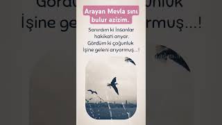 Arayan Mevla sını bulur azizim [upl. by Lathrope]