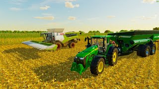 68ACER CLAAS COMBINE CORN HARVESTING NO MONEY FOREST RIVER FARM FS22 [upl. by Olivie]