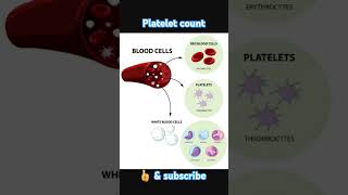 Normal range of platelet count science body human anatomy physiology [upl. by Atrice]