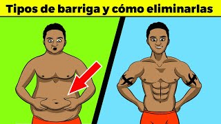 5 tipos de barriga y cómo eliminarlas  cómo bajar la panza [upl. by Ewald]