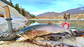 GIANT Trout Catch amp Cook Fishing in WOLF INFESTED Mountains [upl. by Kone893]