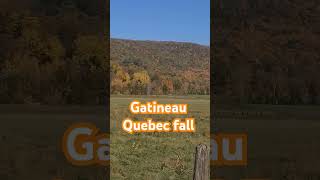 see the fall colors in the Gatineau Quebec mountain today beautiful montrealtourism quebeccite [upl. by Adnesor]