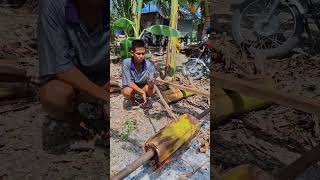 Lechon Bilini forintertainmentonly funny shortvideo [upl. by Analrahc]