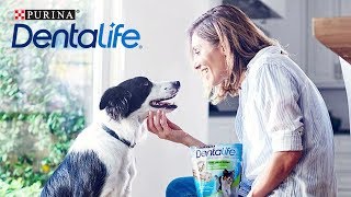 Purina® Dentalife™  Top Product of the Year από το Ζampple  PURINA® Greece [upl. by Vitalis]