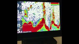 Heres how Humminbird Helix 7 DI And 2D Sonar Settings [upl. by Aguayo]