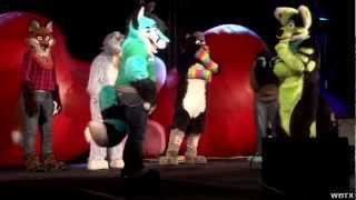 FWA 2013 The Internet Is Fur [upl. by Soirtemed]