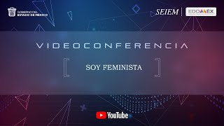 SEIEM  VIDEOCONFERENCIA [upl. by Eirffej]