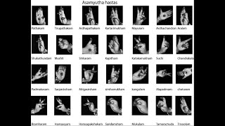 Asamyukta Hasta Mudras  Single Hand Gestures  Easy to learn  BHAVYA GUTTA [upl. by Yeaton]