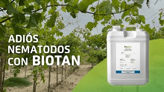 REPELENTE DE NEMATODOS EN VID  BIOTAN [upl. by Eriam]