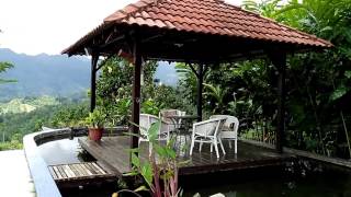 Saufiville Resort Janda BaikPahang [upl. by Aikahs]