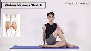 For Eversion amp Outtoeing  Gluteus Maximus Stretch [upl. by Azaleah]