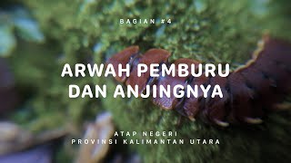 GUNUNG HARUN  Atap Negeri Kalimantan Utara 4 [upl. by Seif]