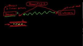 Physiology of Hemostasis amp the Coagulation Cascade [upl. by Evyn981]