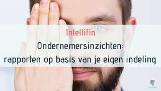 Ondernemersinzichten rapporten op basis van je eigen indeling [upl. by Jelena]