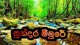 සුන්දර මීමුරේ ලස්සන පොටෝ එකතුවක්  A beautiful photo collection of Sundara Meemure sri lanka 🇱🇰 ❤️🤘 [upl. by Eugenio]