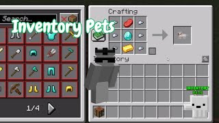 Como Usar o inventory pets  Download [upl. by Edie]