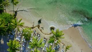 PALMS OF HEAVEN  BACARDI ISLAND  DOMINICAN REPUBLIC 4K [upl. by Keelin646]