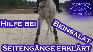 Traversale Renvers SEITENGÄNGE reiten erklärt  Momos Turnier FMAs [upl. by Clyde376]