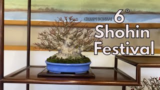 Bonsai Oni  CRESPI BONSAI 6° Shohin Festival [upl. by Hadihahs]