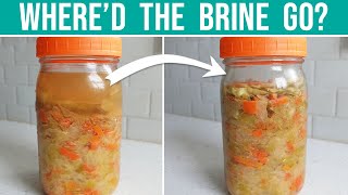 DISAPPEARING SAUERKRAUT BRINE  What NOT to do [upl. by Eibbor73]