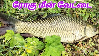 Rohu fish Catching tamil  Rohu fishing Tips Fishing Tips tamil Catla rohu fish catching fishing [upl. by Mcgraw]