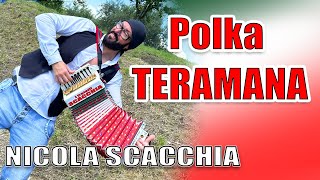 POLKA TERAMANA Nicola SCACCHIA campione del mondo di organetto [upl. by Melessa]