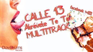 Calle 13  Atrévete Te Te MULTITRACK [upl. by Aetnuahs]