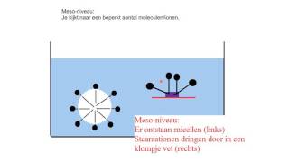 Micro meso macro [upl. by Selene]