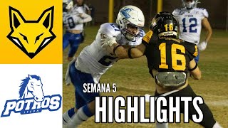 Zorros CETYS vs Potros ITSON Highlights  Semana 5  Liga Mayor ONEFA 2024 [upl. by Nawuj]