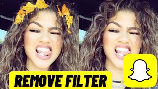 How To Remove Filter From Snapchat PicturePhoto  Easy Guide [upl. by Anidualc]