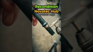 mtb novatec hub recondition bicyclekick mtblifestyle mtblife mtbguide bicycletouring [upl. by Decima]