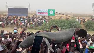 Àt Argungu fishing international fastival KEBBI STATE [upl. by Rellim138]