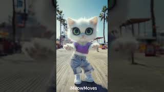 Groovy Cat Moves Dancing Feline Extravaganzaadorablecat [upl. by Elvis149]