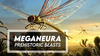 Meganeura  A Giant Carboniferous Griffenly [upl. by Harahs466]