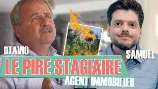 Le Pire Stagiaire  lagent immobilier version longue [upl. by Niras]