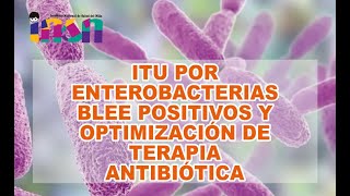 ITU por Enterobacterias BLEE Positivos y Optimización de Terapia Antibiótica  Telecapacitación INSN [upl. by Kcirdehs]