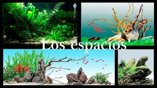 Aquascaping para novatos 1 Los espacios [upl. by Aynas]