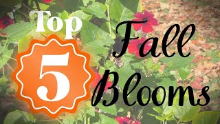 5 Beautiful Fall Blooming Plants for the cottage garden MUM Alternatives [upl. by Negiam140]