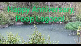 1 Year Anniversary of the Brook Street Poop Lagoon and Sht Creek Carrick Pittsburgh [upl. by Oakes738]