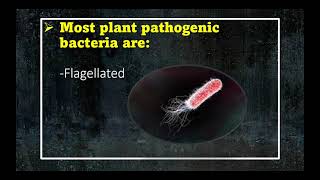 Plant Pathogenic Bacteria [upl. by Frances]