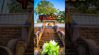 වදින්න යමු අනුරපුරේ අටමස්ථානේ🙏🙏🙏visit in anuradhapuraya travel innainannai [upl. by Fasa]