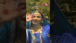 Nakhralo Devariyo  Hit Rajasthani Song  Devar Bhabhi Song  Seema Mishra  Veena Music shorts [upl. by Myranda]