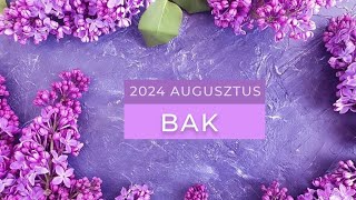 Bak  Augusztus 2024 [upl. by Khalid]