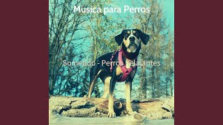 Musica Perros Lindos [upl. by Neirb]