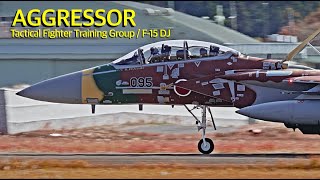 ASMR 百里基地 巡回教導訓練2023 アグレッサー F15 新色機が飛来 JASDF Tactical Fighter Training Group F15DJ Aggressor [upl. by Klarika]