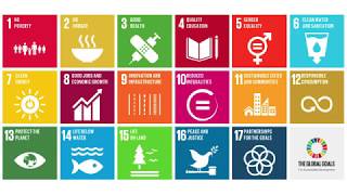 UN Sustainable Development Goals SDGs What They Are amp Why Theyre Important [upl. by Ado]