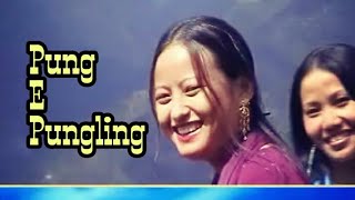 quotPung Eh PunglingquotNyishi Song Nyishi video album Arunachal Pradesh song North East India song [upl. by Lutero223]