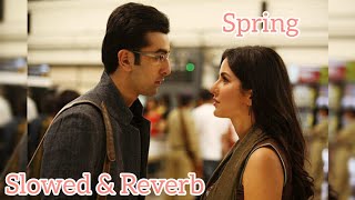 Bheegi Si Bhaagi Si Full Video  Rajneeti  Ranbir Katrina  Slowed amp Reverb  Song  Audio  Music [upl. by Einwahs]